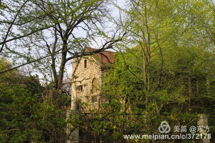 百年山东看青岛千年齐鲁逛青州,山东大学趵突泉景区