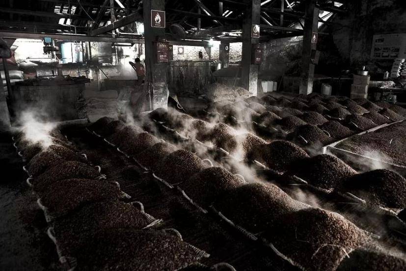 为什么现在流行生僻字,生僻字为什么突然爆火