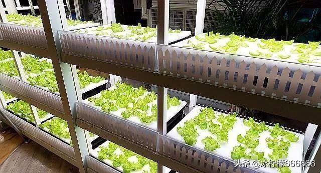 农民返乡创业有哪些好项目可以做,返乡创业扶持项目政策