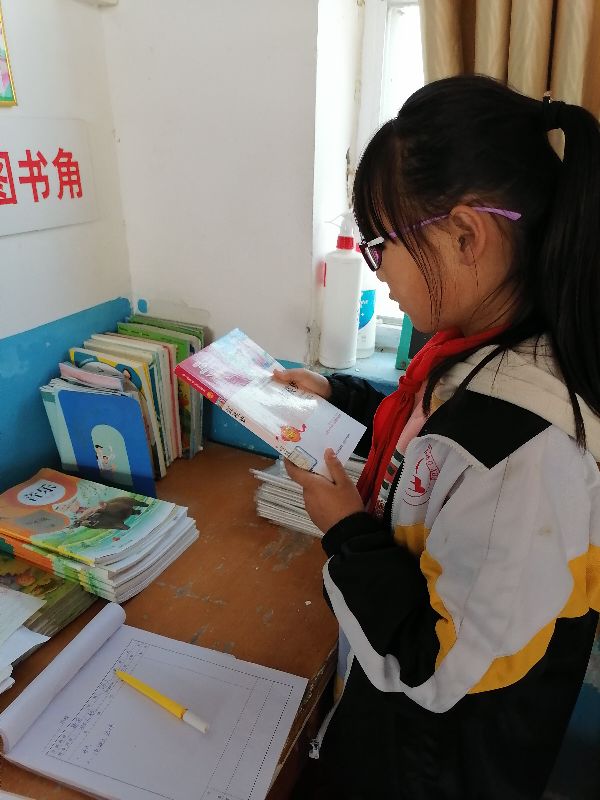 课外阅读笔记怎么写小学四年级,郑庄小学课外阅读