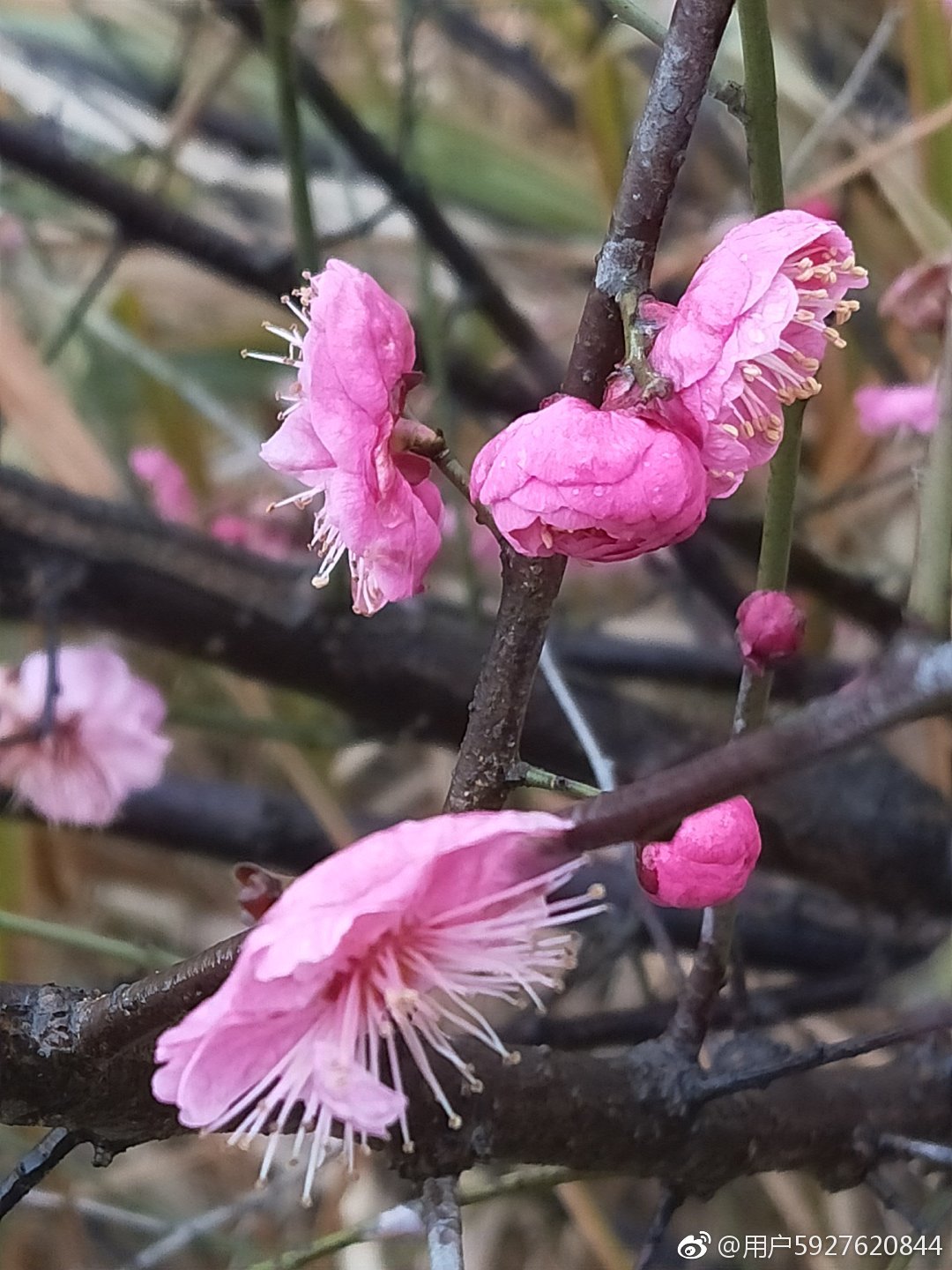 走过熟悉的那条街已不是以前的街,记忆中的那条街