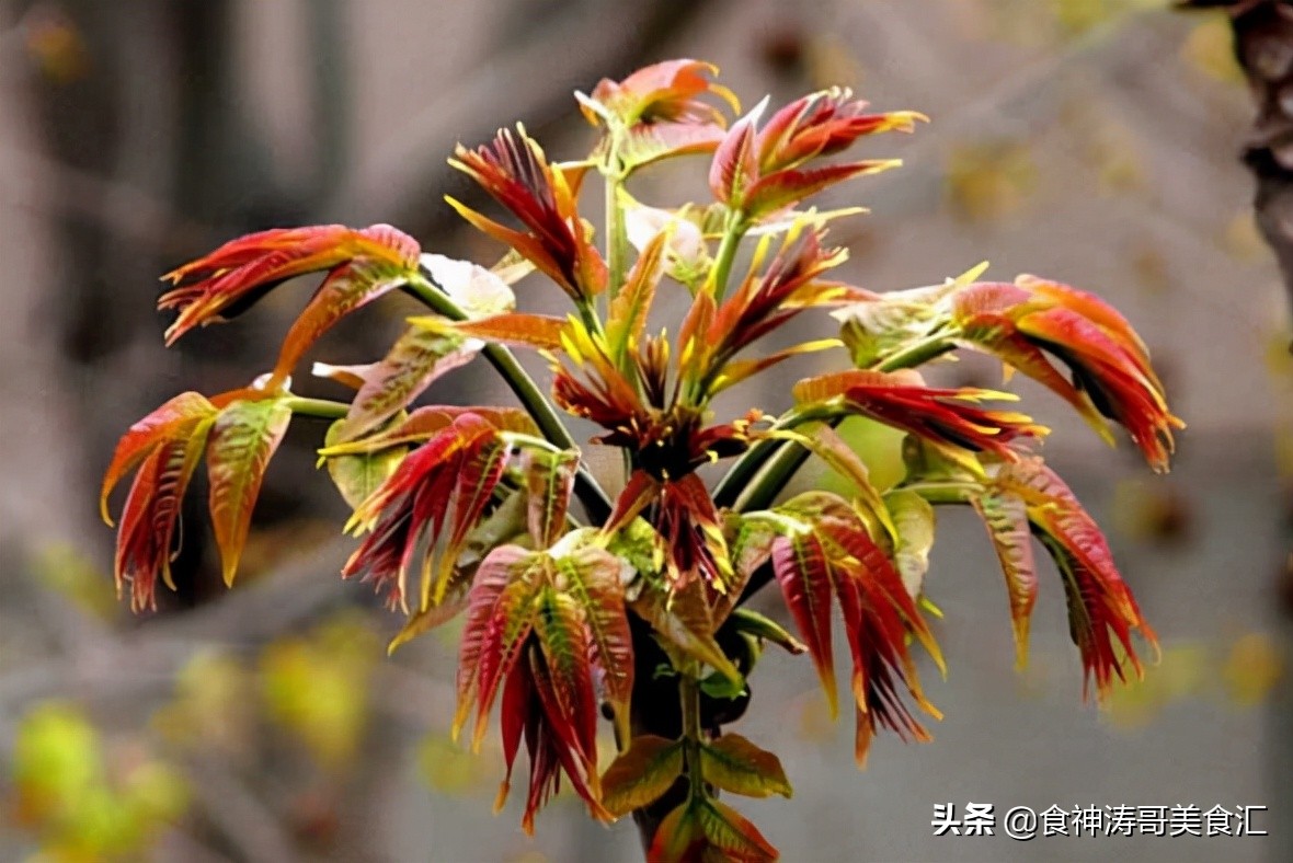 河北十大美食小吃排行榜,河北美食十大名小吃