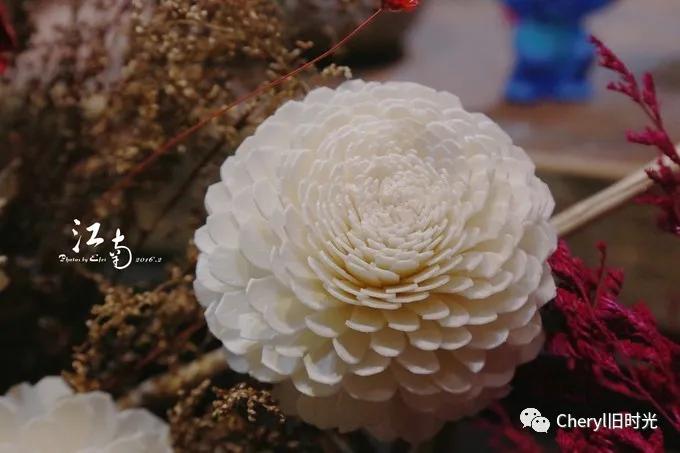 苏州旅游值得去的景点,去苏州旅游攻略最好的景点