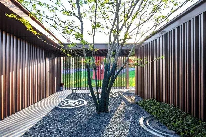 涟漪是哪篇课文,涟漪像什么