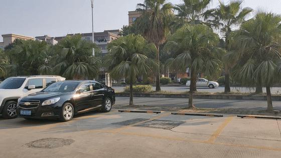 牛鞭牛宝汤优惠团购,牛宝牛鞭汤优惠