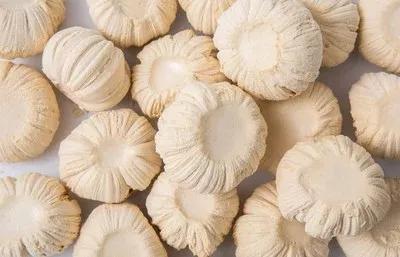 九天诗词第0036期,同题小年