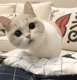 网上看到“特殊”小广告,下单后摊上事了!