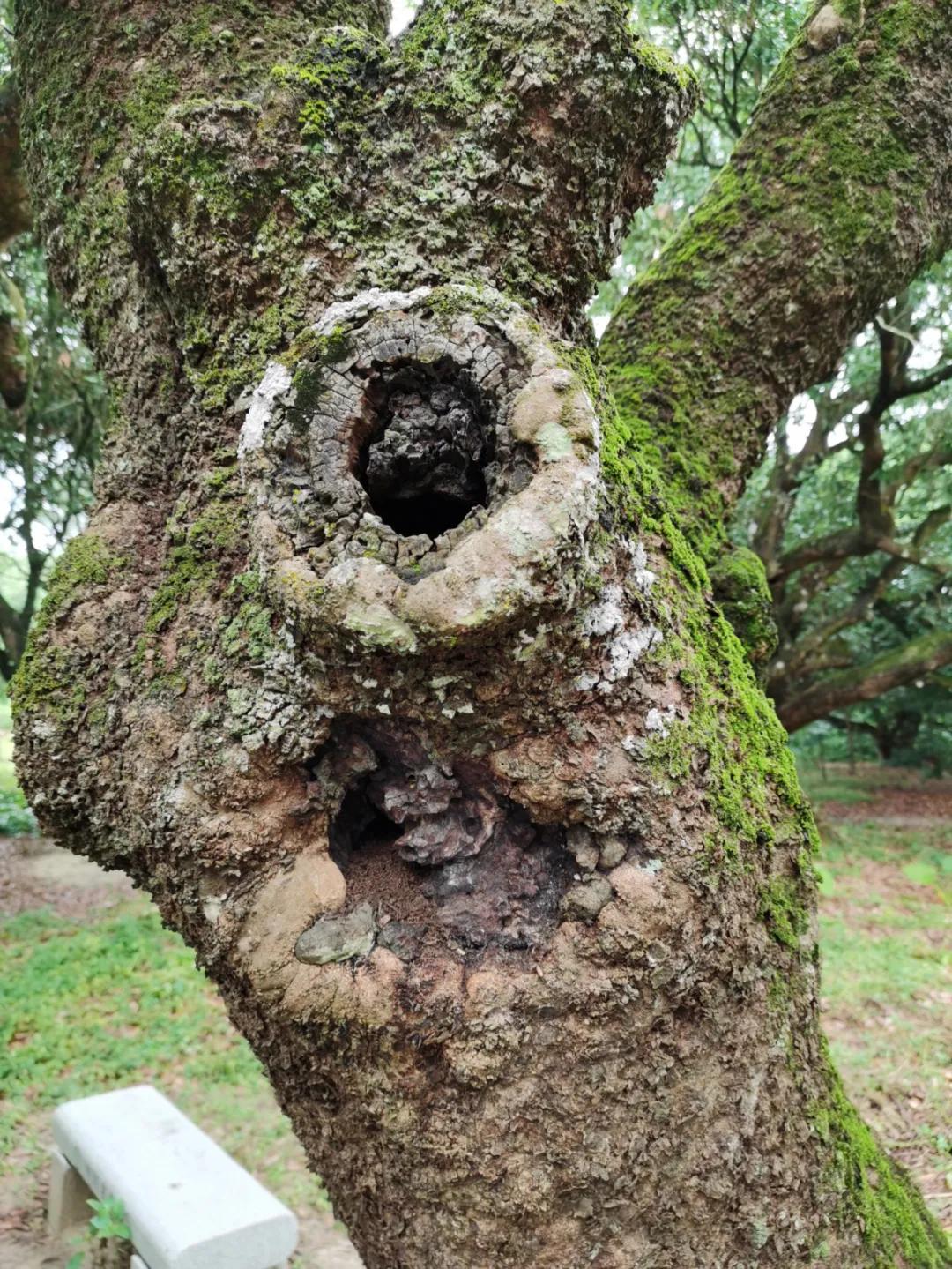 检察蓝用心守护海洋蓝,检察蓝守护最美夕阳红