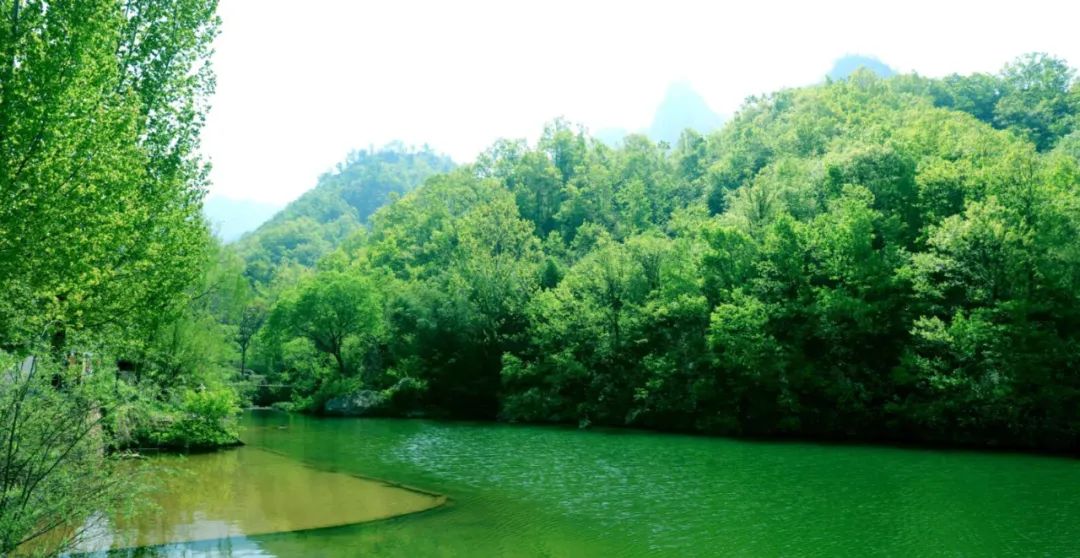 洛阳附近避暑山庄,洛阳最美避暑山景区介绍