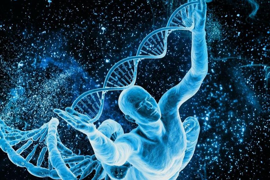 念珠菌病的病原及症状如何医治,念珠菌和白色念珠菌有什么区别