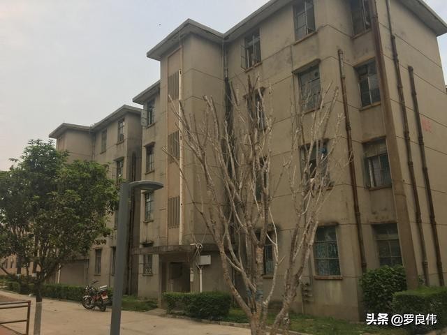 寻觅第二集,寻觅32集预告