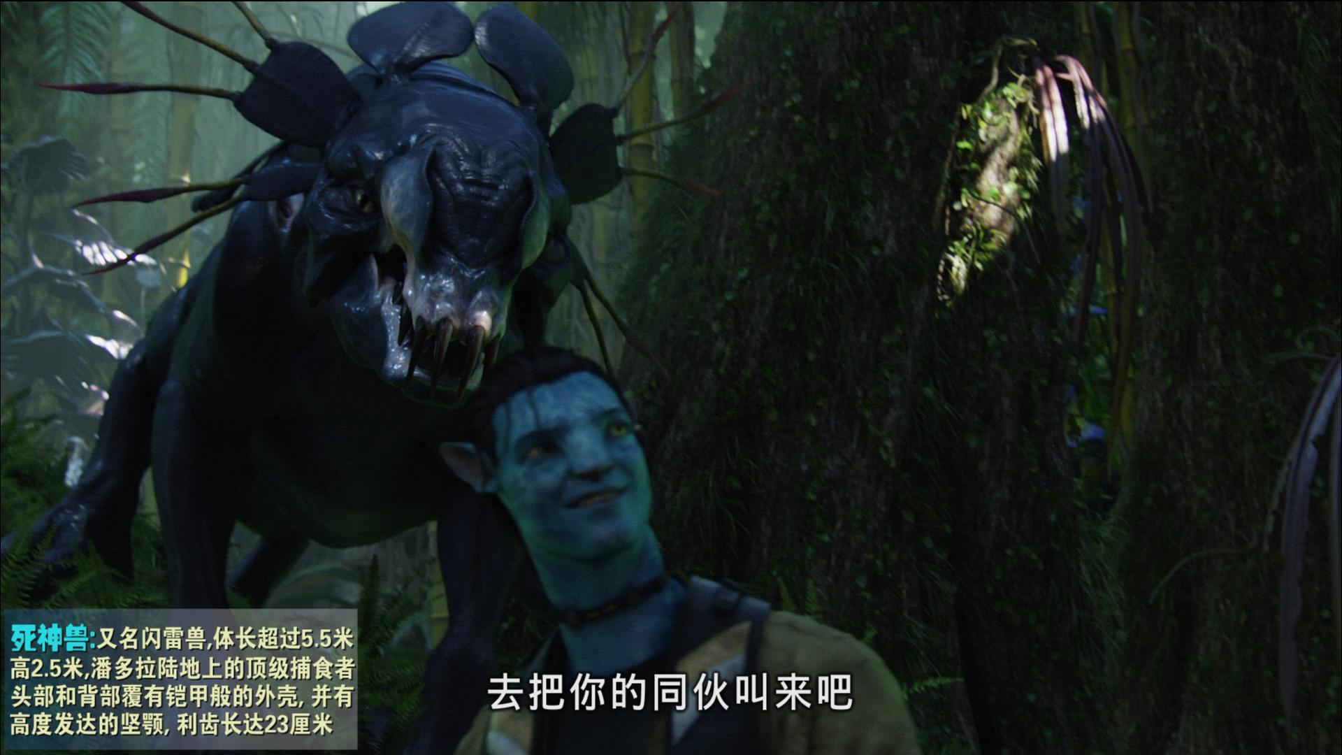 从未被超越完整版,从未被超越