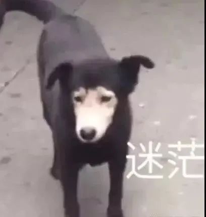 南师附中为什么叫附中,南师附中是初中还是中学