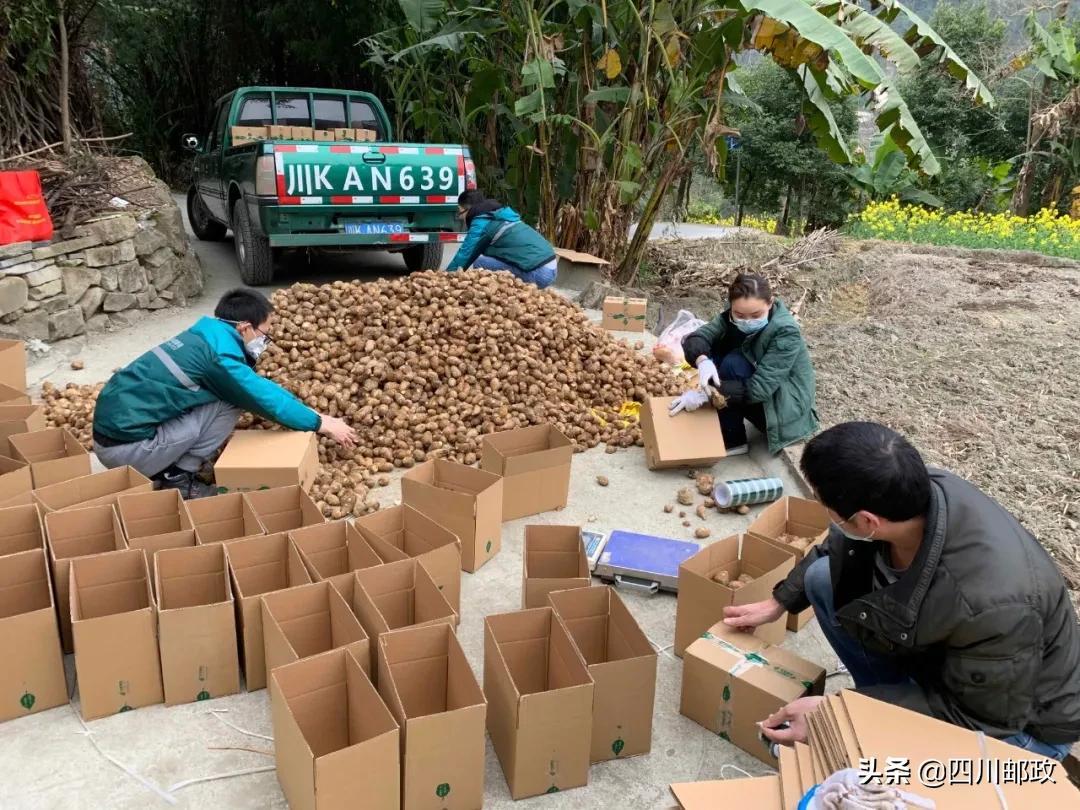 战疫一个月,四川战疫