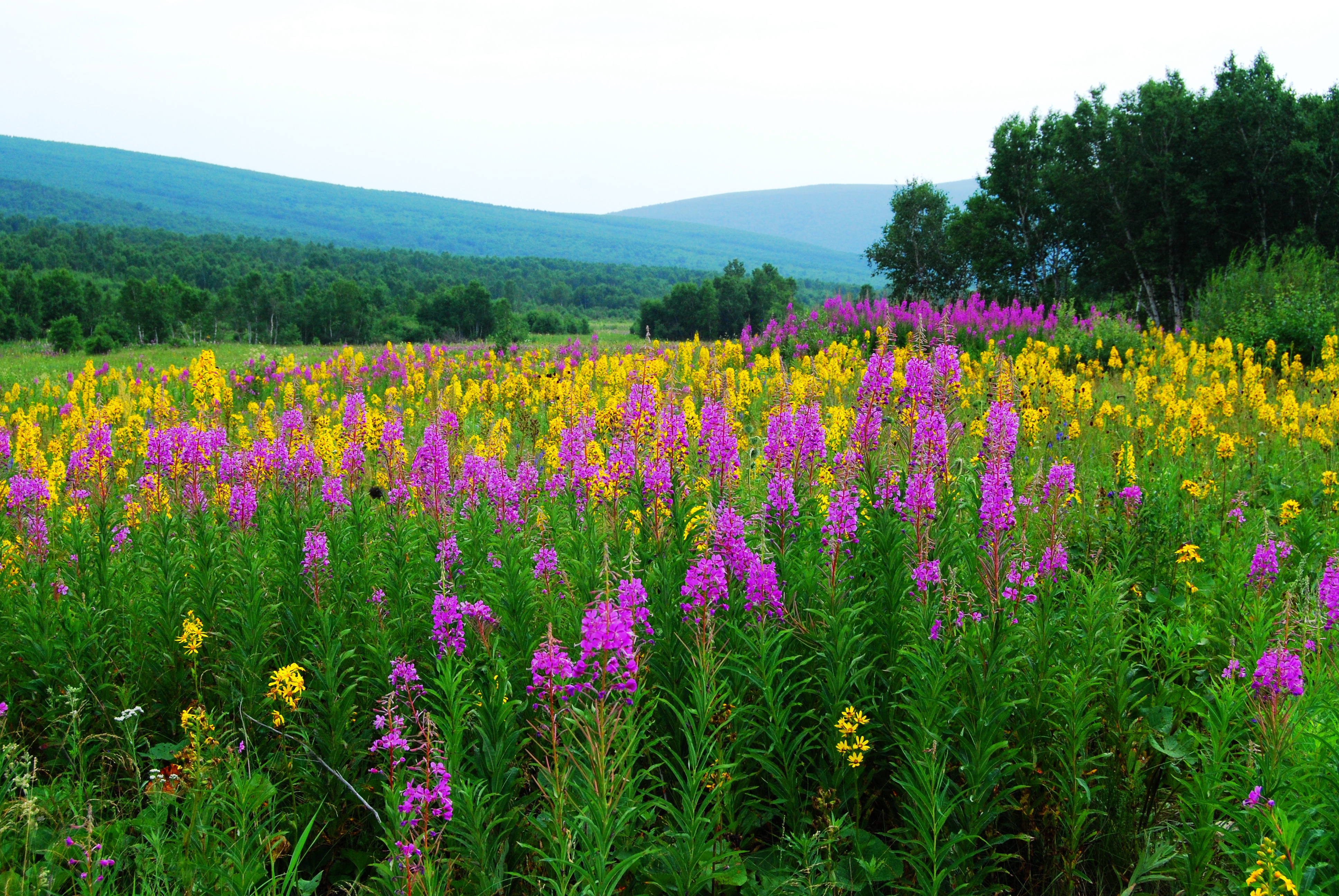 一辆车,从东乌旗沿中蒙边境公路到阿尔山,漫长边关寻迹历史遗存