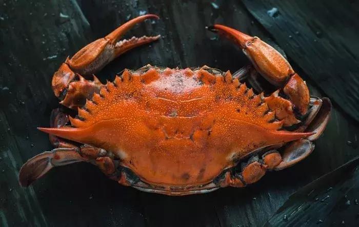 “冒牌”的留学生,识货的HR