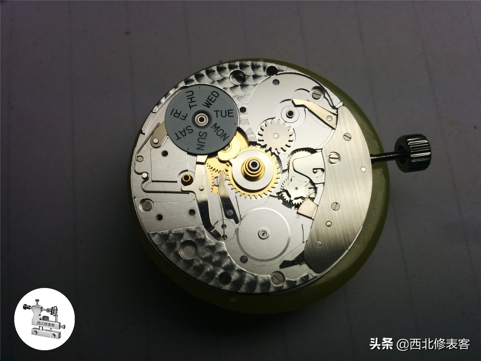 一只浪琴表可以戴多少年,浪琴月相7针计时码表