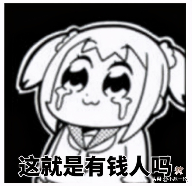 靠骗成功进入富人圈,靠假扮白富美人设能赚多少