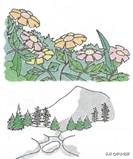 部编版一年级语文上课文朗读,部编版语文四年级上课文朗读合集