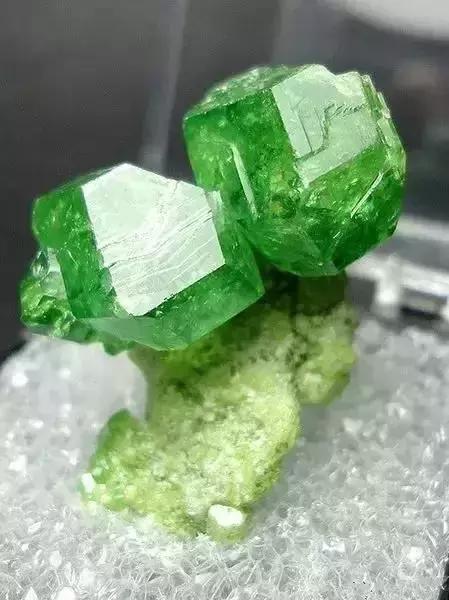 世界上令自己眸生情，见到后再也不爱别人的51个丽人