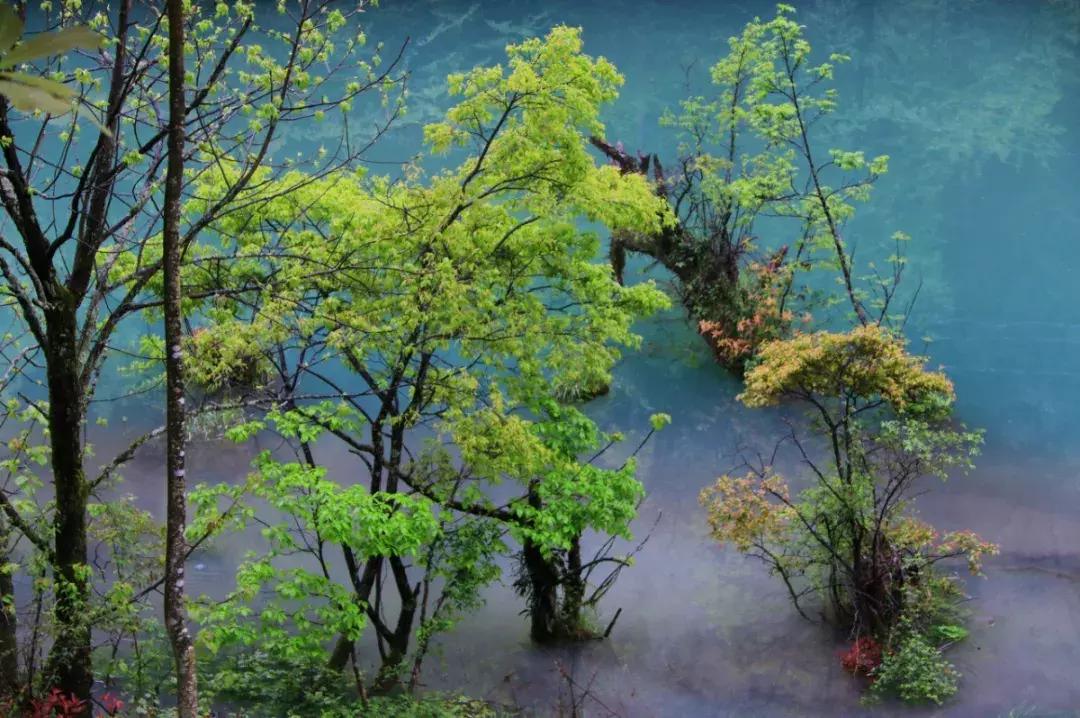 cnn评出中国40个最美的地方,cnn曾评出中国最美40个景点