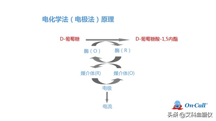血糖仪发明时间,血糖仪原理及故障维修