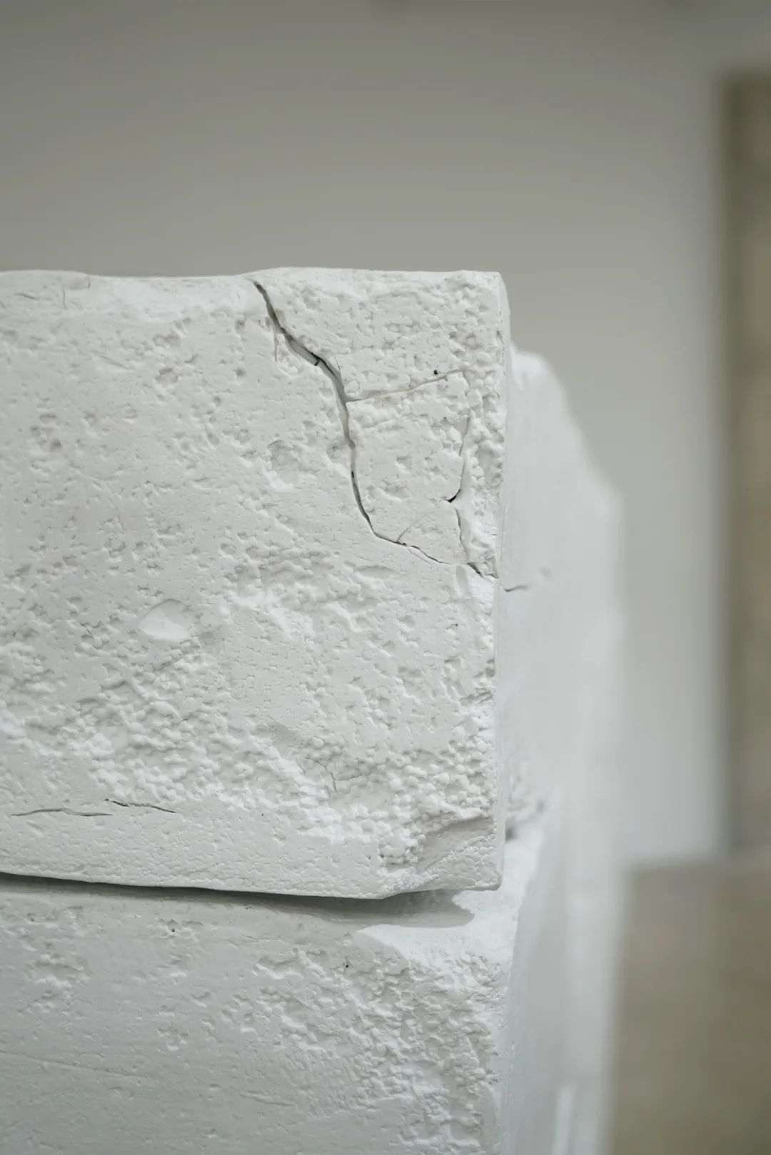 刘建华艺术展览,艺术家刘建华