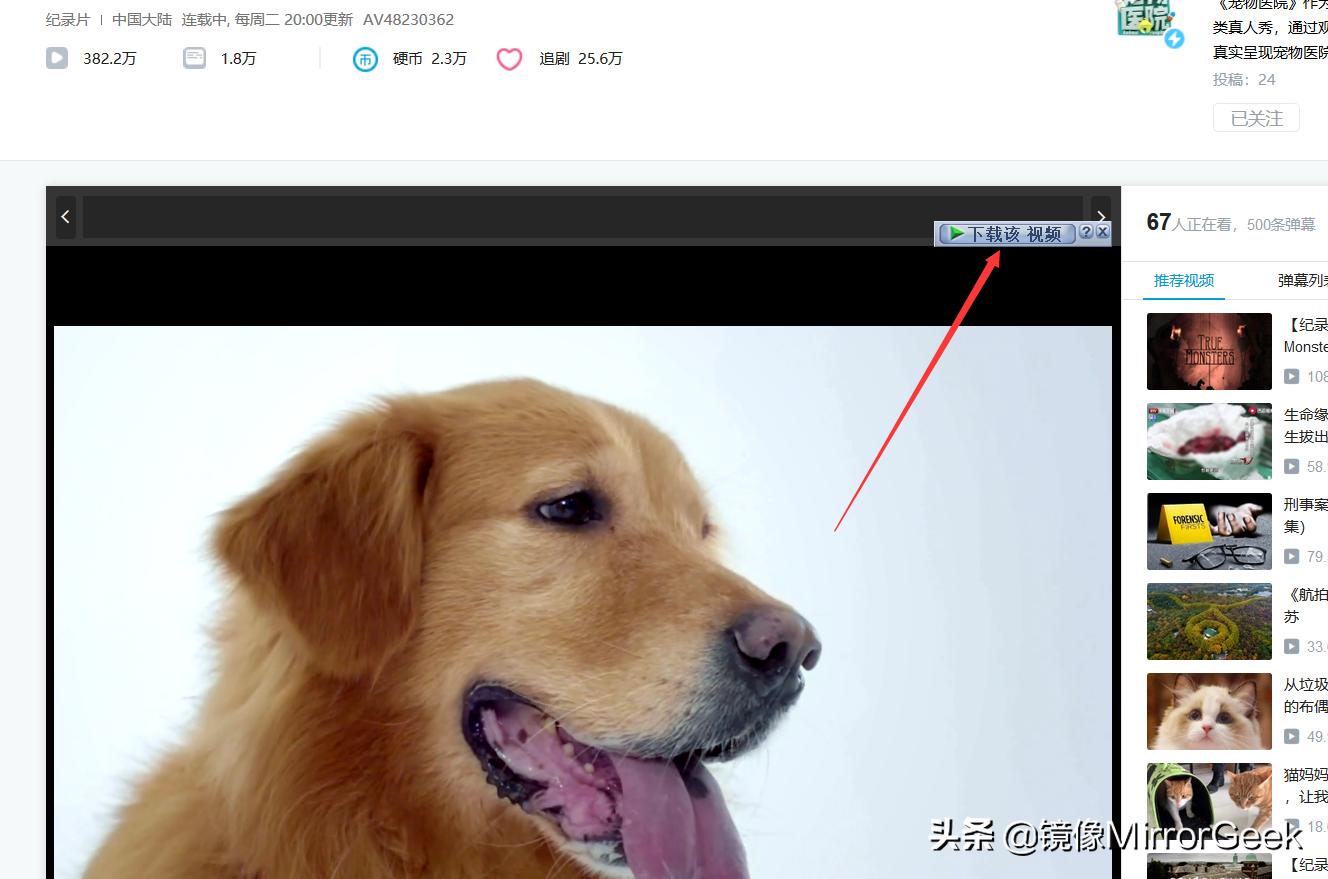 【干货教学】如何*载下**全网视频？如何摆脱网盘限速问题？只需一招