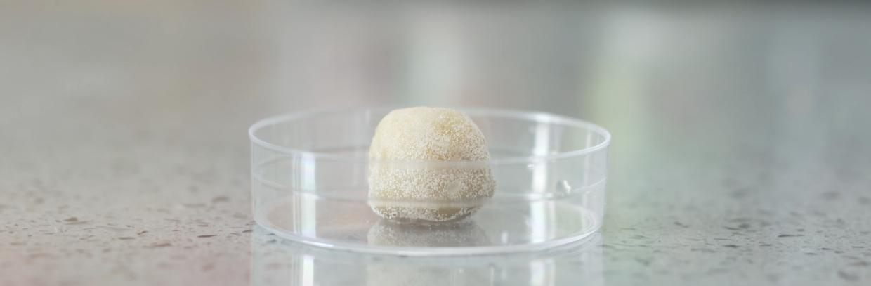 家中厨房蟑螂多怎么消除,家中有蟑螂怎么一网打尽