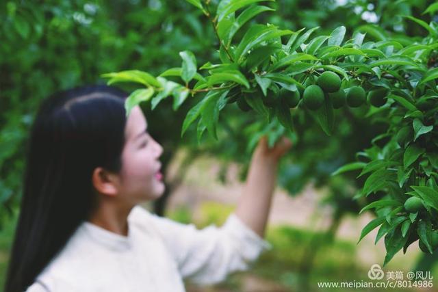大美新蔡生态水城,大美新蔡等你来