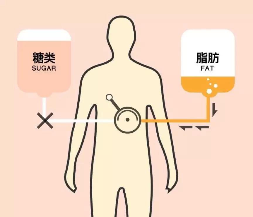懒得动又想瘦?咔咔寿满足你,享受躺着也能瘦的幸福