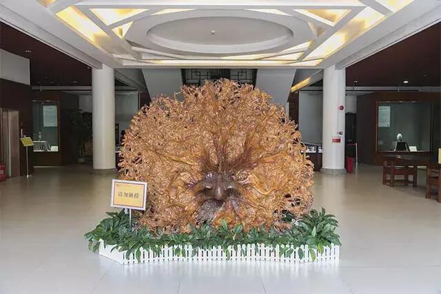 适合深圳室内玩的地方推荐,深圳夏天免费游玩比较凉快的地方