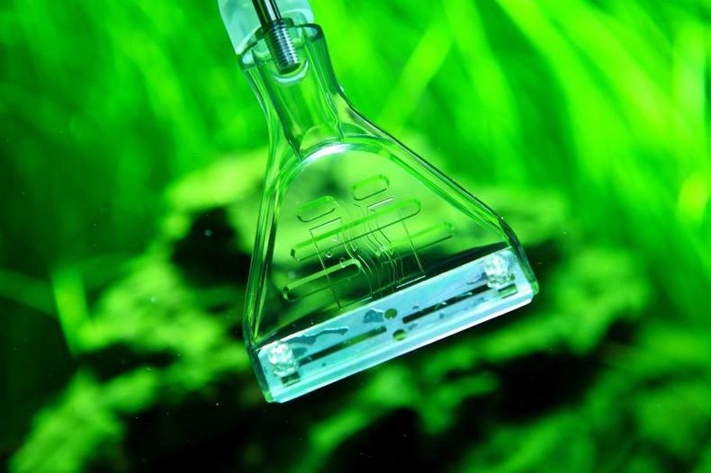 水景鱼缸怎么清理,水景鱼缸怎么清理鱼便