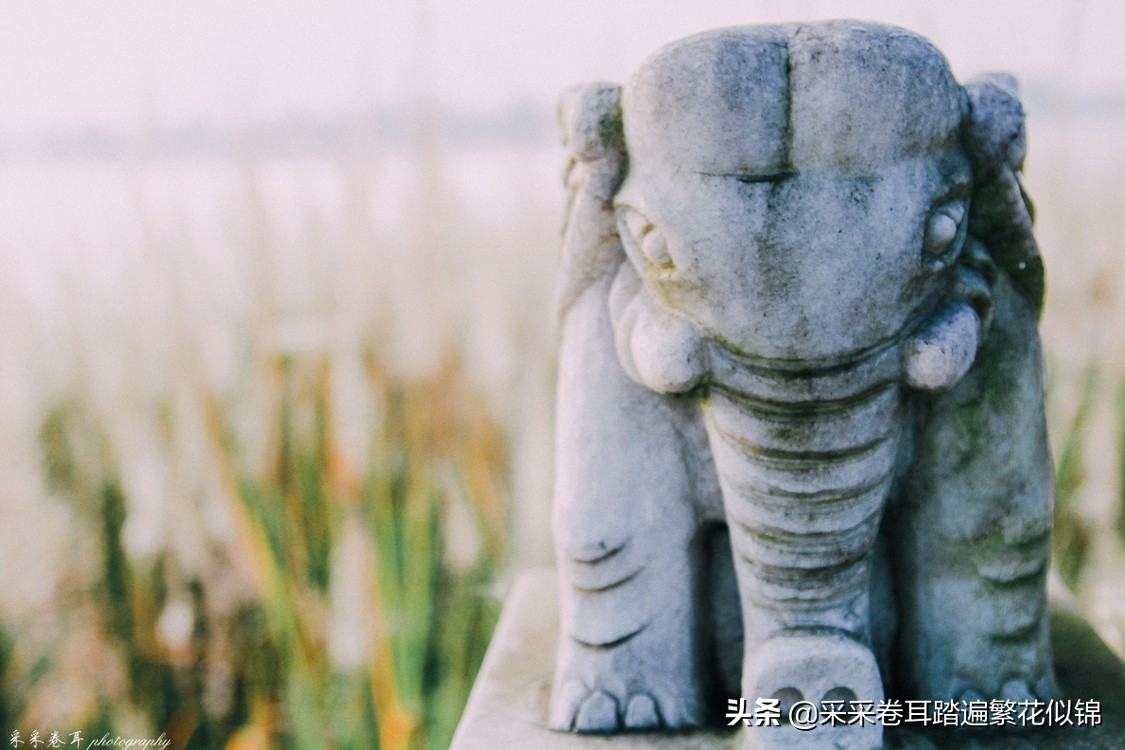 瑞丽弄莫湖公园逛一逛,瑞丽弄莫湖公园旅游攻略