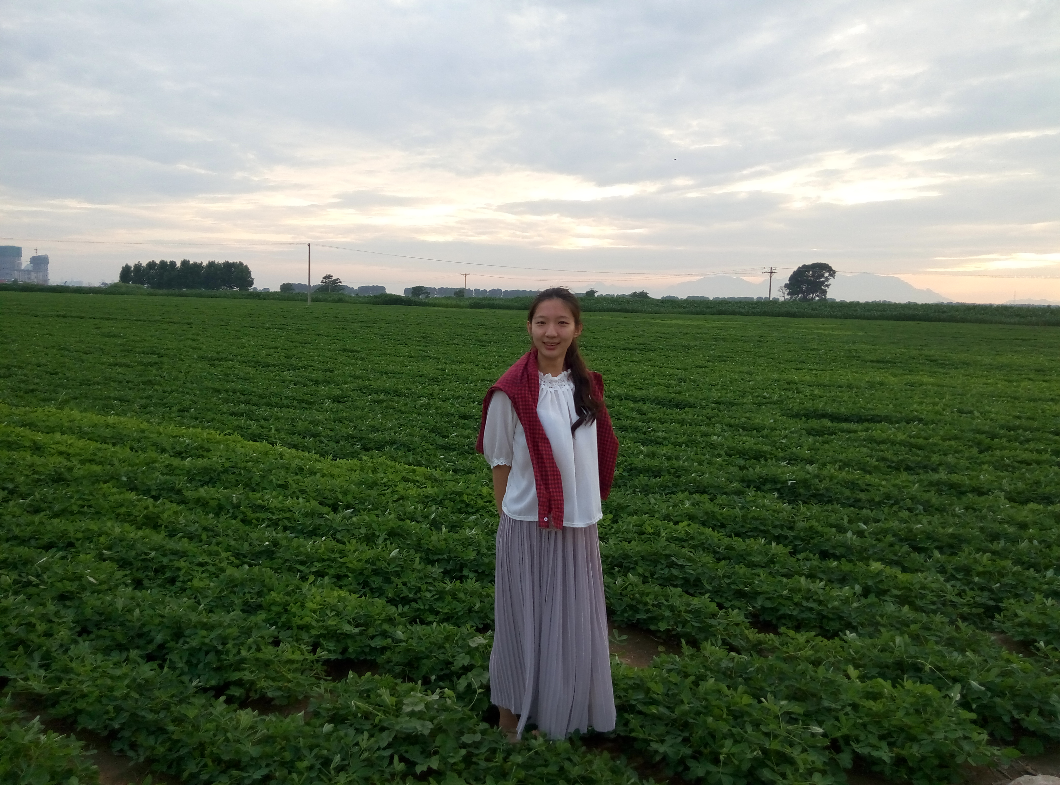 东戴河海滩美景尽收眼底,海水清澈波光粼粼