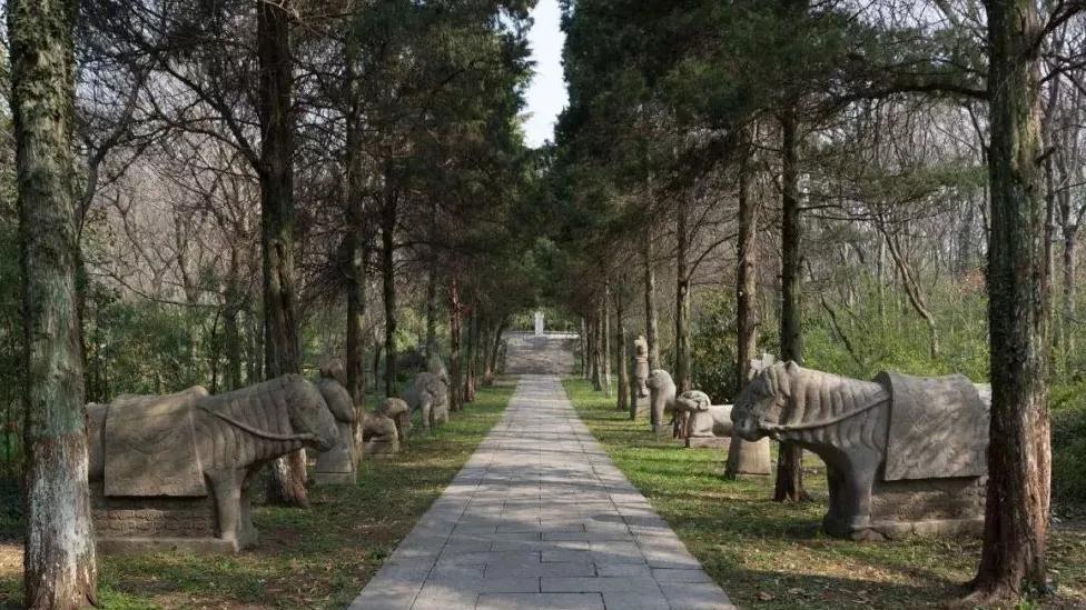 南京哪些景点春节免票,南京景点及门票优惠政策