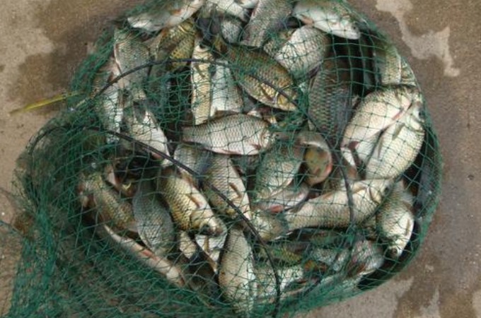 野钓必备的10种钓法,5月份野钓怎么钓好