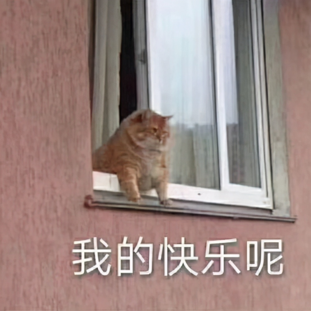 请问化妆的正确步骤是怎么样的,一套完整的化妆顺序是怎么样的