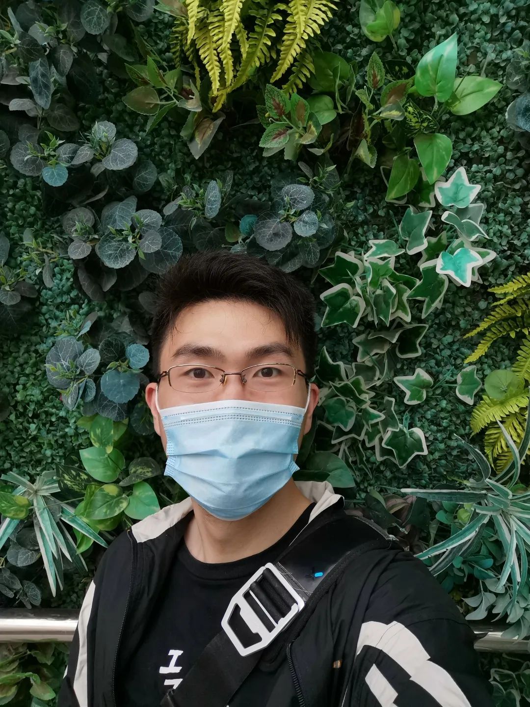 和平公园动物岛还有吗,和平公园可以喂动物吗