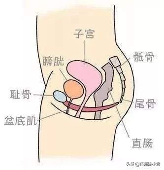 肚子变大，你可能是生病了