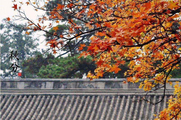 秋分节气你要知道的一些事情,秋分节气对应的农事