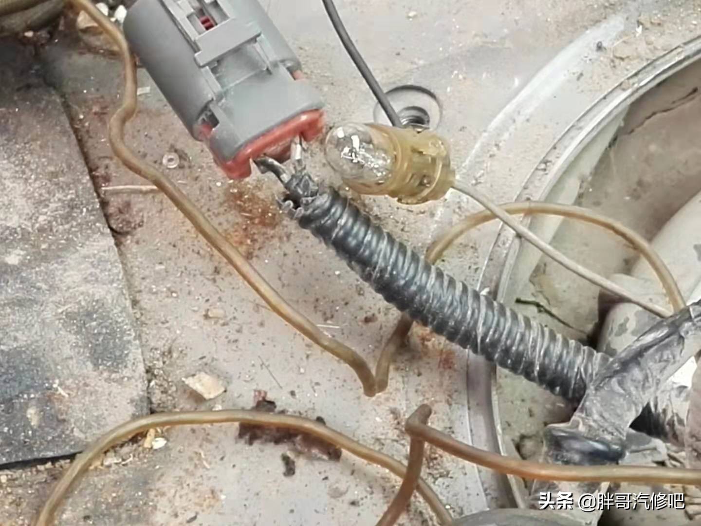 19年蓝鸟难启动很抖,2004年老蓝鸟