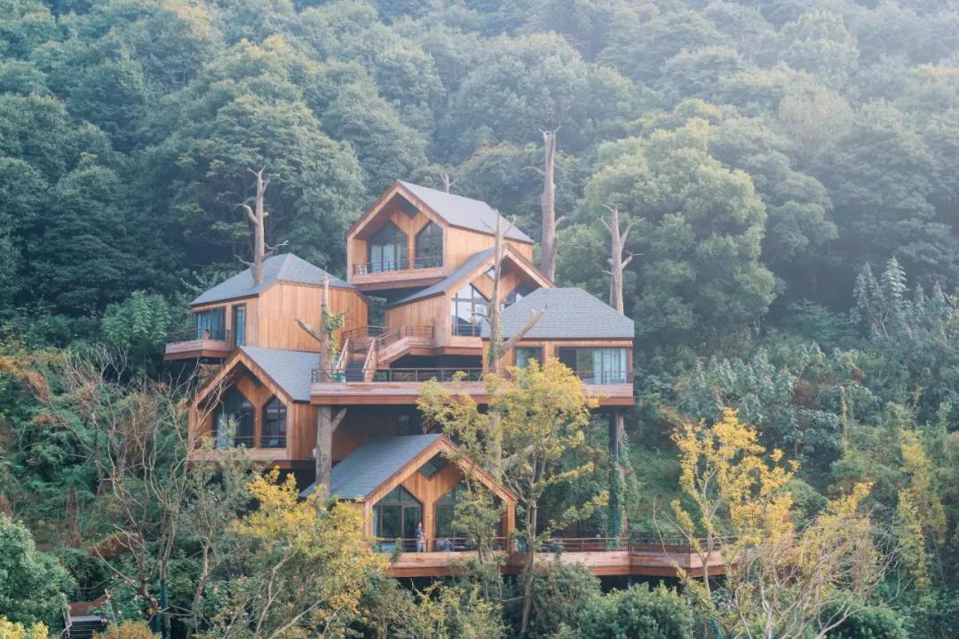 杭州攻略住宿,杭州住一个月攻略