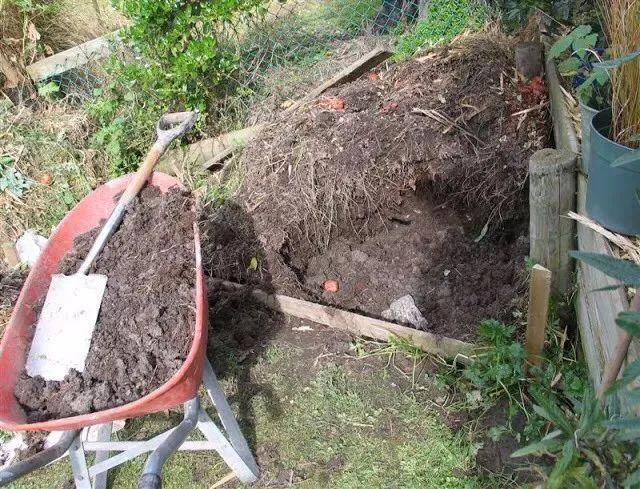柴草可以做肥料吗,柴草专用肥