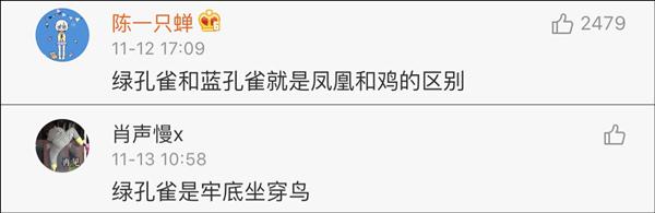 双11购物气死丈夫,双11成交惊呆老外