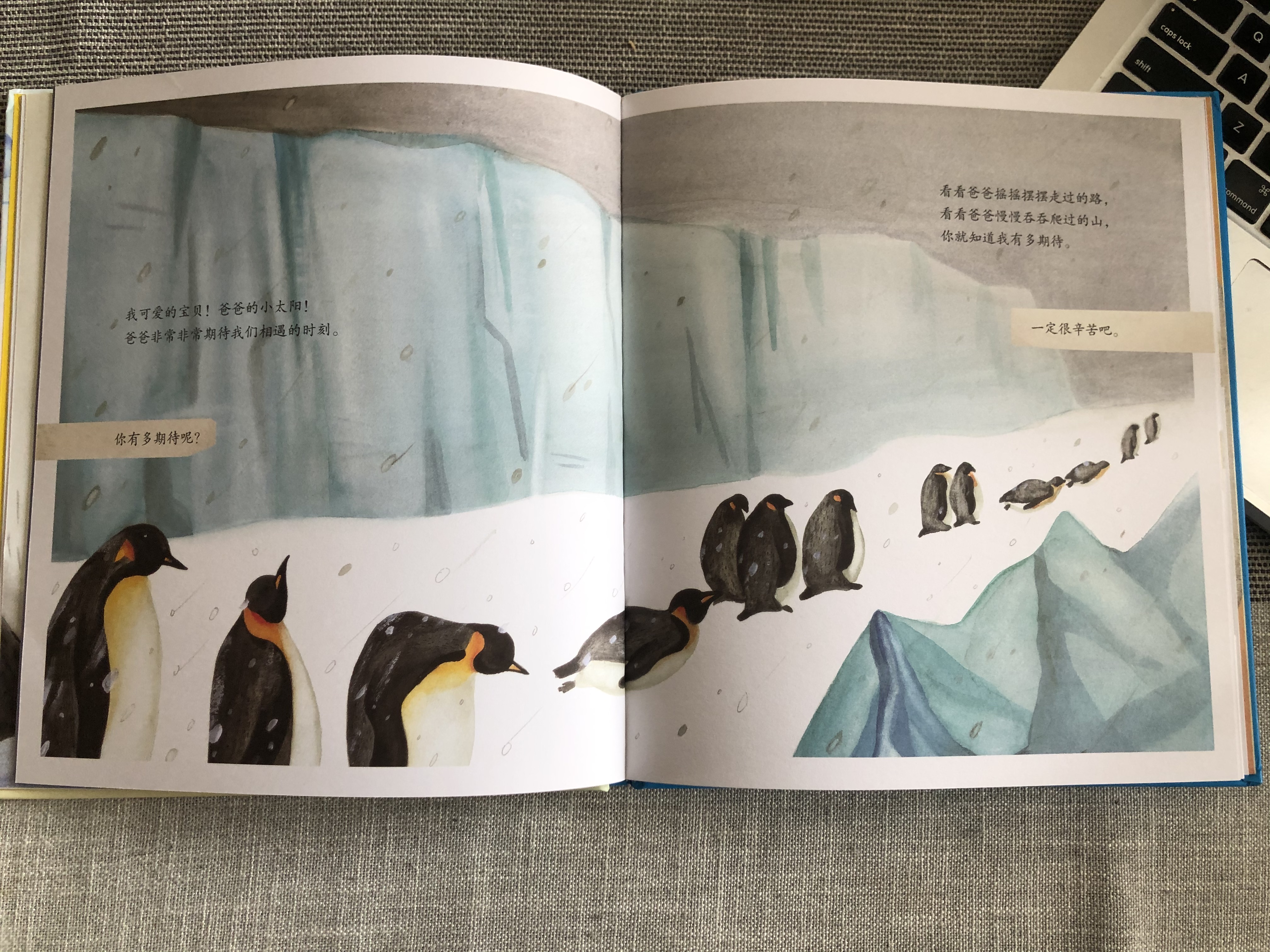 和帝企鹅学习做家长:父母原始的爱,是孩子由内而外的力量