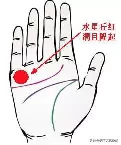 手相女右手解析有图,女人六种手相最好命图片