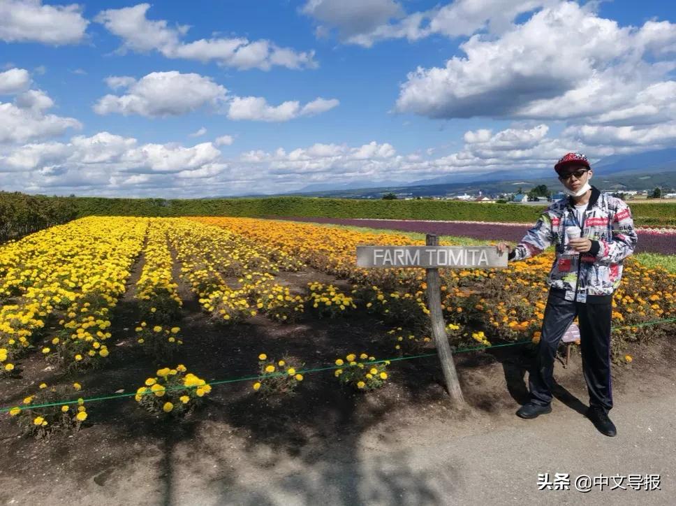 叶晓光：雪之花水木——旭川、美瑛、富良野纪行