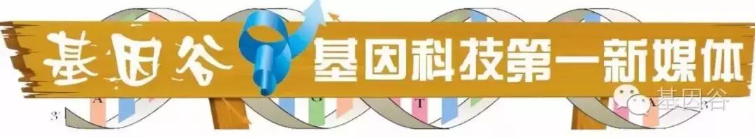 循环肿瘤细胞捕获方法的研究进展,扩增型循环肿瘤细胞检测数值高
