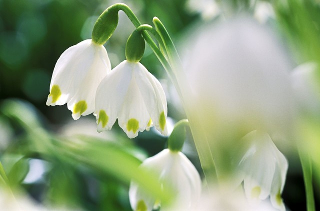 浠佺埍涓冨勾绾т笂鍐岃嫳璇璾nit2topic1,鑻辫浠佺埍涓冨勾绾т笂鍐寀nit2topic1